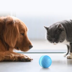 Cheerble  Interactive & Automatic Dog Ball