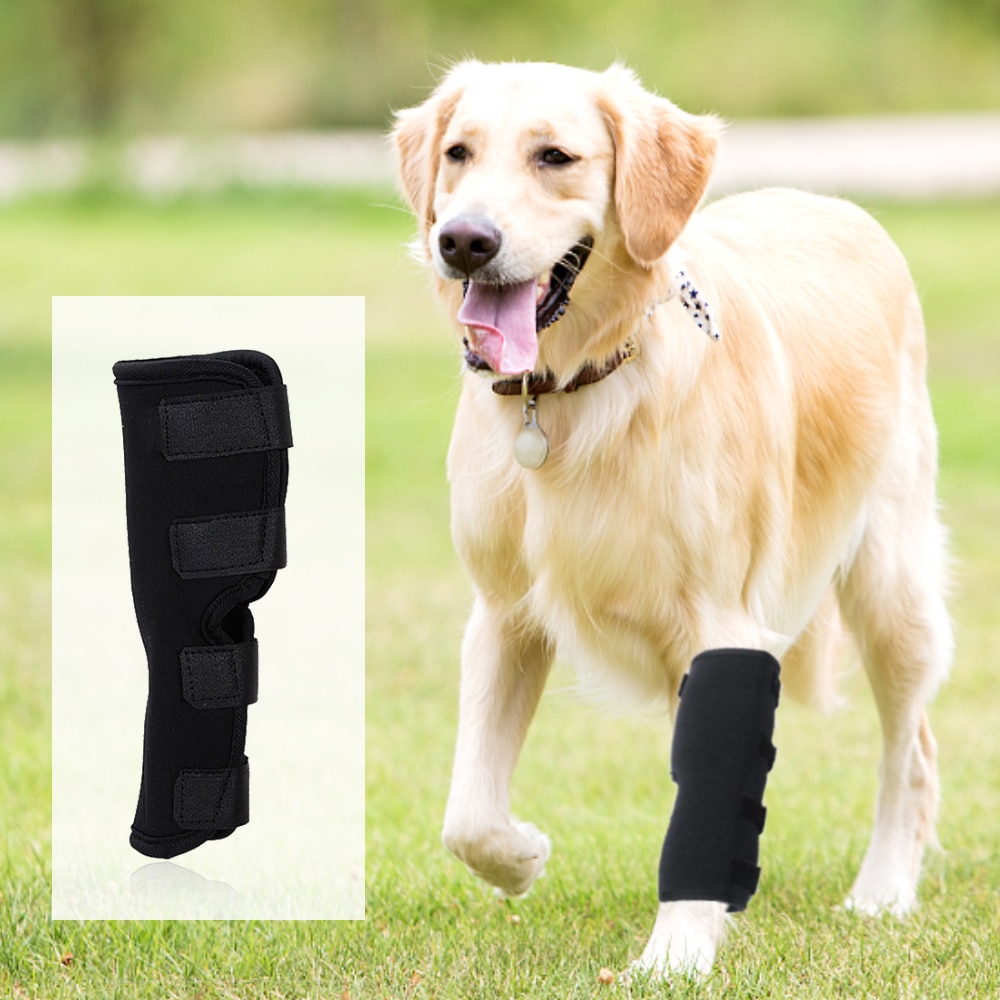 1592-9xx5hx.jpg ABMOS Dog Knee Brace with Side Stabilizers, Knee Immobilizer Support for Dogs with Torn ACL, Knee Cap Dislocation, Arthritis, Reduces Pain and Inflammation, 7 Sizes - Image 3