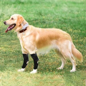 ABMOS Dog Knee Brace with Side Stabilizers, Knee Immobilizer Support for Dogs with Torn ACL, Knee Cap Dislocation, Arthritis, Reduces Pain and Inflammation, 7 Sizes